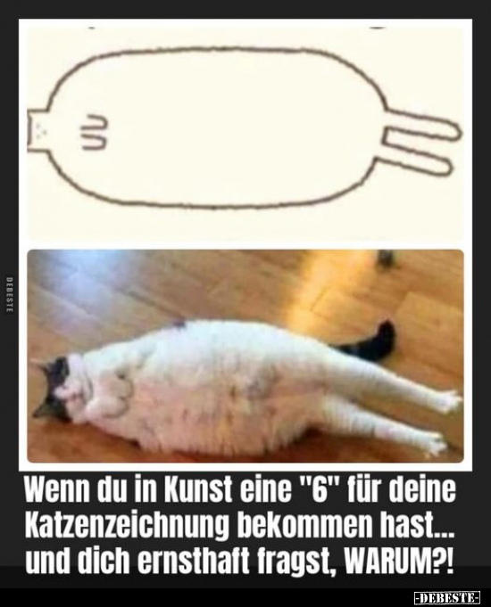 Wenn du in Kunst eine "6" für deine Katzenzeichnung.. - Lustige Bilder | DEBESTE.de