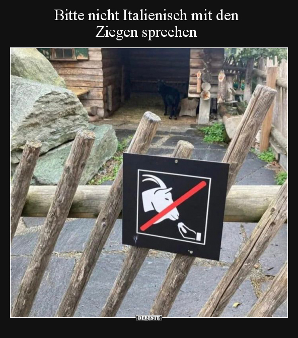 Bitte nicht Italienisch mit den Ziegen sprechen.. - Lustige Bilder | DEBESTE.de