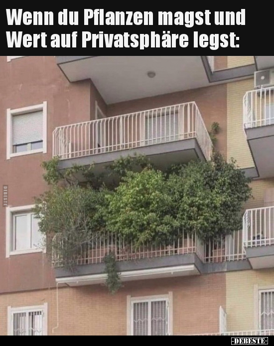 Wenn du Pflanzen magst und Wert auf Privatsphäre legst.. - Lustige Bilder | DEBESTE.de