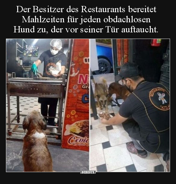 Der Besitzer des Restaurants bereitet Mahlzeiten für jeden.. - Lustige Bilder | DEBESTE.de