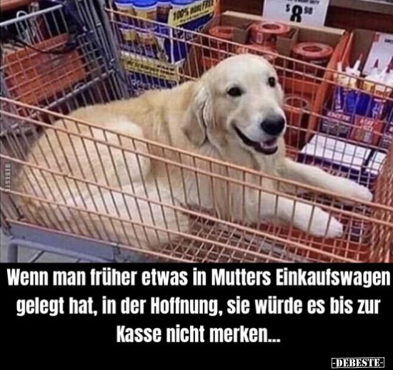 Wenn man früher etwas in Mutters Einkaufswagen gelegt hat.. - Lustige Bilder | DEBESTE.de