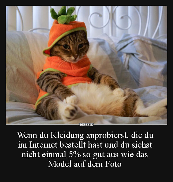 Wenn du Kleidung anprobierst, die du im Internet bestellt.. - Lustige Bilder | DEBESTE.de
