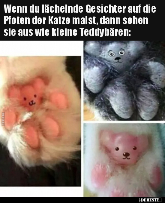 Wenn du lächelnde Gesichter auf die Pfoten der Katze malst.. - Lustige Bilder | DEBESTE.de