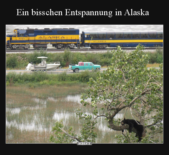 Ein bisschen Entspannung in Alaska.. - Lustige Bilder | DEBESTE.de