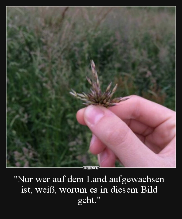 "Nur wer auf dem Land aufgewachsen ist, weiß, worum es in.." - Lustige Bilder | DEBESTE.de