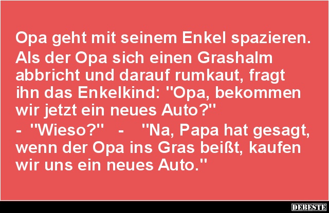 Opa geht mit seinem Enkel spazieren.. - Lustige Bilder | DEBESTE.de