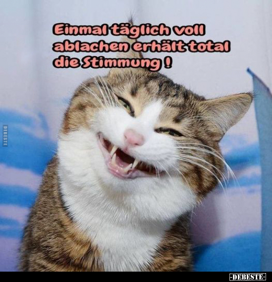 Einmal täglich voll ablachen erhält total die Stimmung!.. - Lustige Bilder | DEBESTE.de
