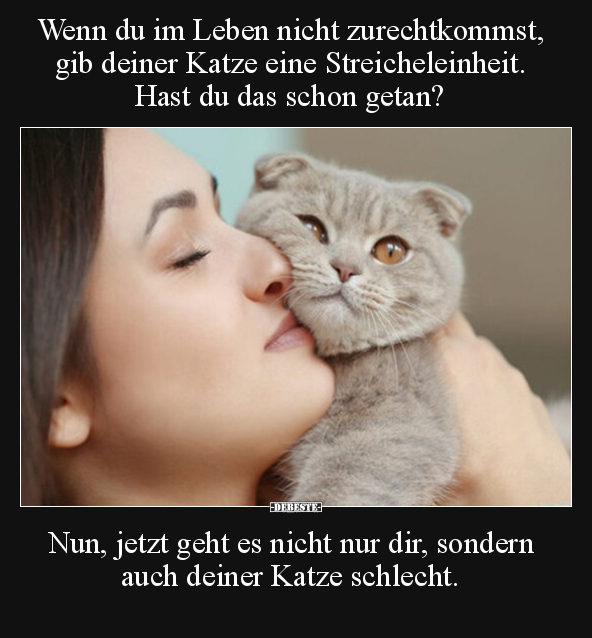 Wenn du im Leben nicht zurechtkommst, gib deiner Katze eine.. - Lustige Bilder | DEBESTE.de