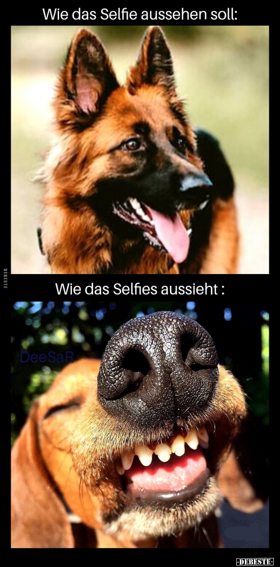 Wie das Selfie aussehen soll.. - Lustige Bilder | DEBESTE.de