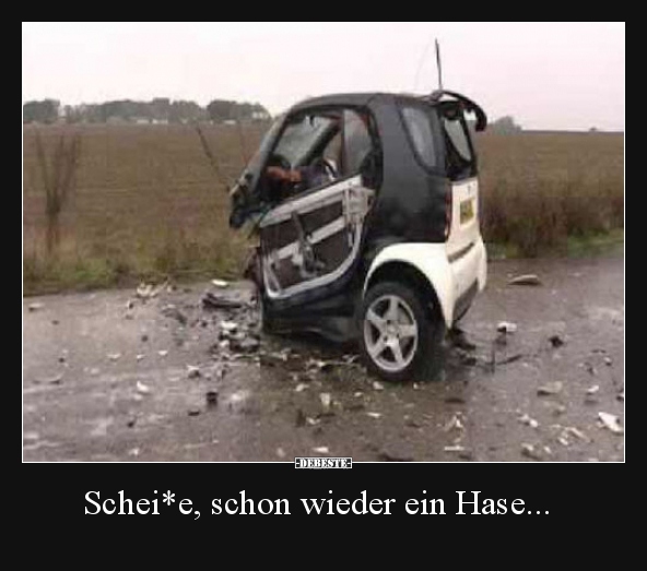Schei*e, schon wieder ein Hase... - Lustige Bilder | DEBESTE.de