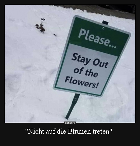 "Nicht auf die Blumen treten".. - Lustige Bilder | DEBESTE.de
