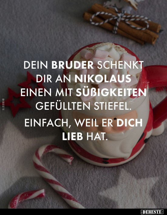 Dein Bruder schenkt dir an Nikolaus einen mit Süßigkeiten.. - Lustige Bilder | DEBESTE.de