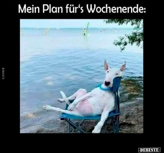 Mein Plan für's Wochenende.. - Lustige Bilder | DEBESTE.de