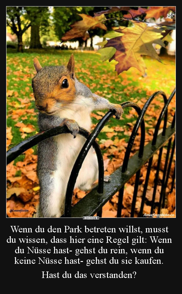 Wenn du den Park betreten willst, musst du wissen, dass.. - Lustige Bilder | DEBESTE.de