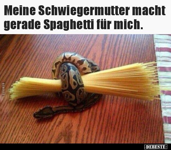 Meine Schwiegermutter macht gerade Spaghetti für mich... - Lustige Bilder | DEBESTE.de