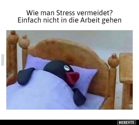 Wie man Stress vermeidet?.. - Lustige Bilder | DEBESTE.de