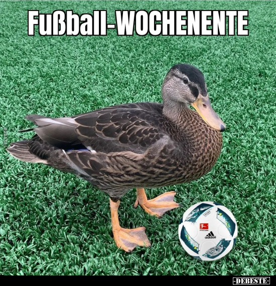 Fußball-WOCHENENTE.. - Lustige Bilder | DEBESTE.de