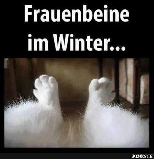 Frauenbeine im Winter.. - Lustige Bilder | DEBESTE.de