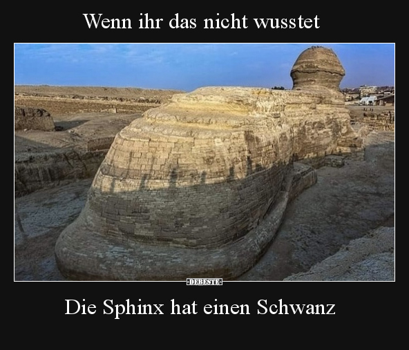 Wenn ihr das nicht wusstet - Die Sphinx hat einen Schwanz.. - Lustige Bilder | DEBESTE.de