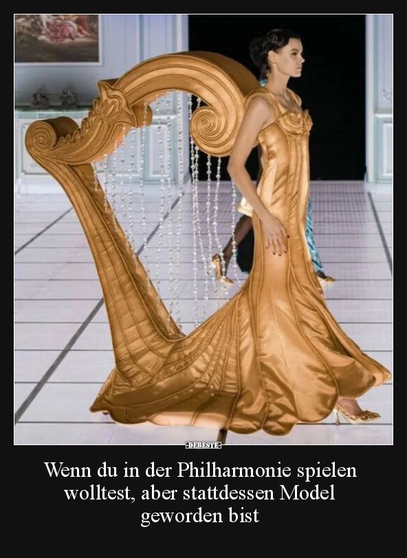 Wenn du in der Philharmonie spielen wolltest, aber.. - Lustige Bilder | DEBESTE.de