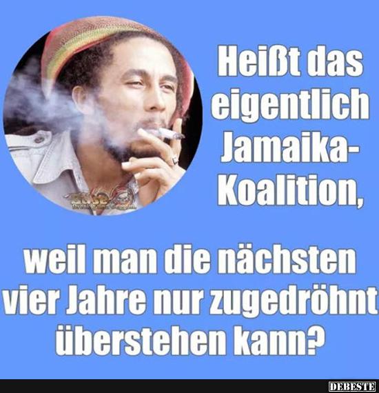 Heißt das eigentlich Jamaika-Koalition..? - Lustige Bilder | DEBESTE.de