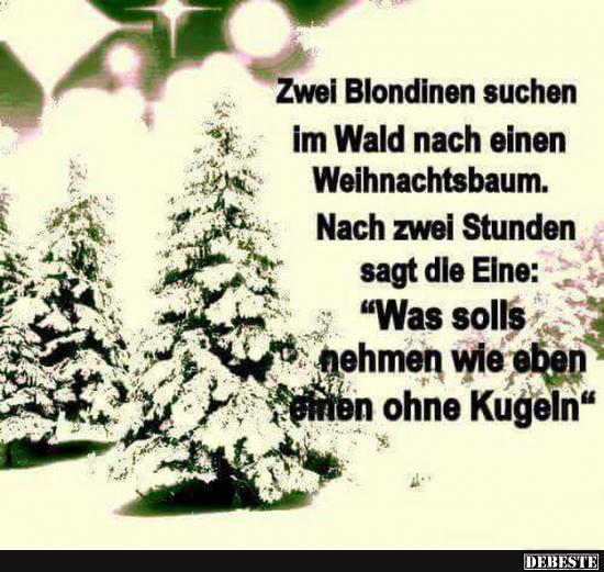 Zwei Blondinen suchen im Wald nach einen Weihnachtsbaum.. - Lustige Bilder | DEBESTE.de