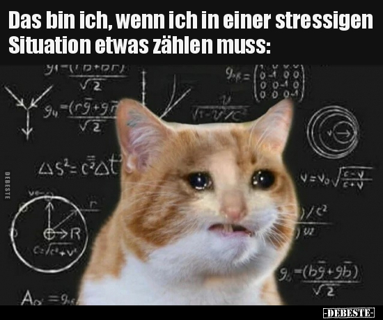 Das bin ich, wenn ich in einer stressigen Situation etwas.. - Lustige Bilder | DEBESTE.de