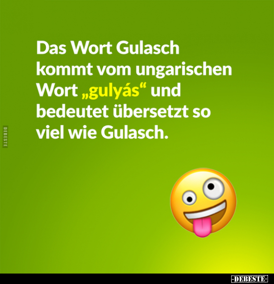 Das Wort Gulasch kommt vom ungarischen Wort "gulyás" und.. - Lustige Bilder | DEBESTE.de