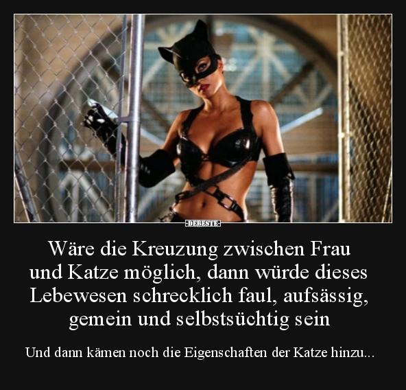 Wäre die Kreuzung zwischen Frau und Katze möglich, dann.. - Lustige Bilder | DEBESTE.de