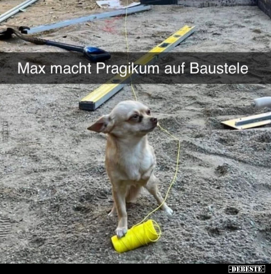 Max macht Pragikum auf Baustele.. - Lustige Bilder | DEBESTE.de