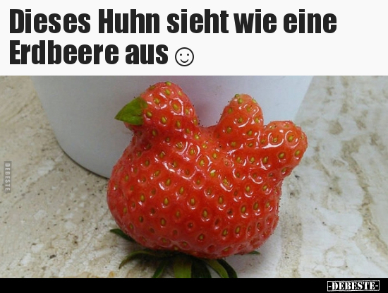 Dieses Huhn sieht wie eine Erdbeere aus☺.. - Lustige Bilder | DEBESTE.de