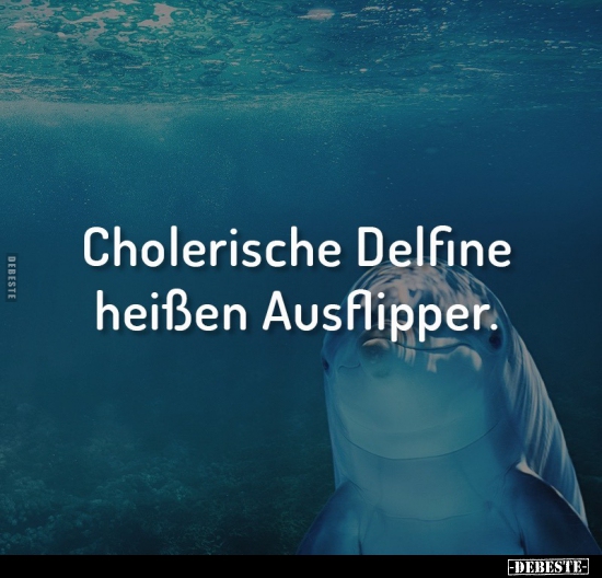 Cholerische Delfine heißen Ausflipper.. - Lustige Bilder | DEBESTE.de