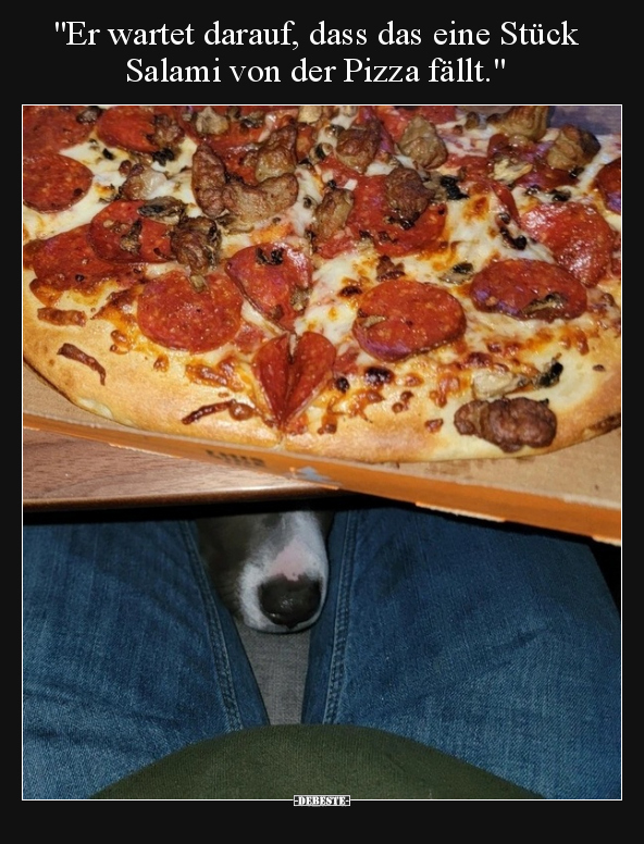 "Er wartet darauf, dass das eine Stück Salami von der Pizza.." - Lustige Bilder | DEBESTE.de