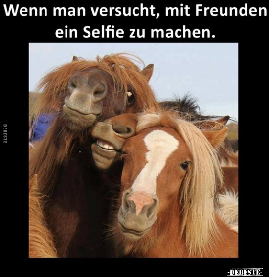 Wenn man versucht, mit Freunden ein Selfie zu machen... - Lustige Bilder | DEBESTE.de