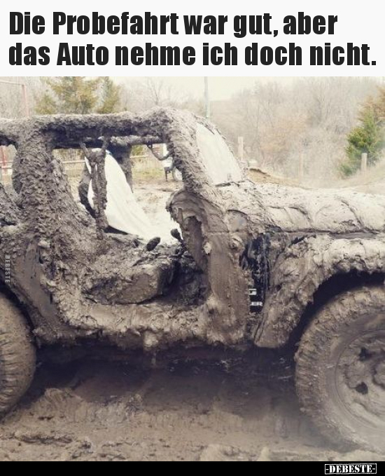 Die Probefahrt war gut, aber das Auto nehme ich doch.. - Lustige Bilder | DEBESTE.de