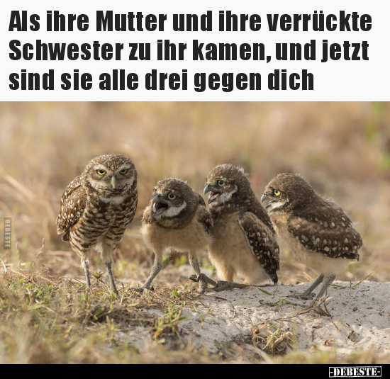 Als ihre Mutter und ihre verrückte Schwester zu ihr kamen.. - Lustige Bilder | DEBESTE.de