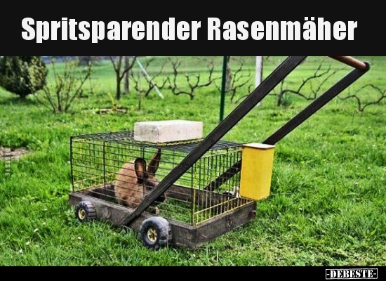 Spritsparender Rasenmäher.. - Lustige Bilder | DEBESTE.de