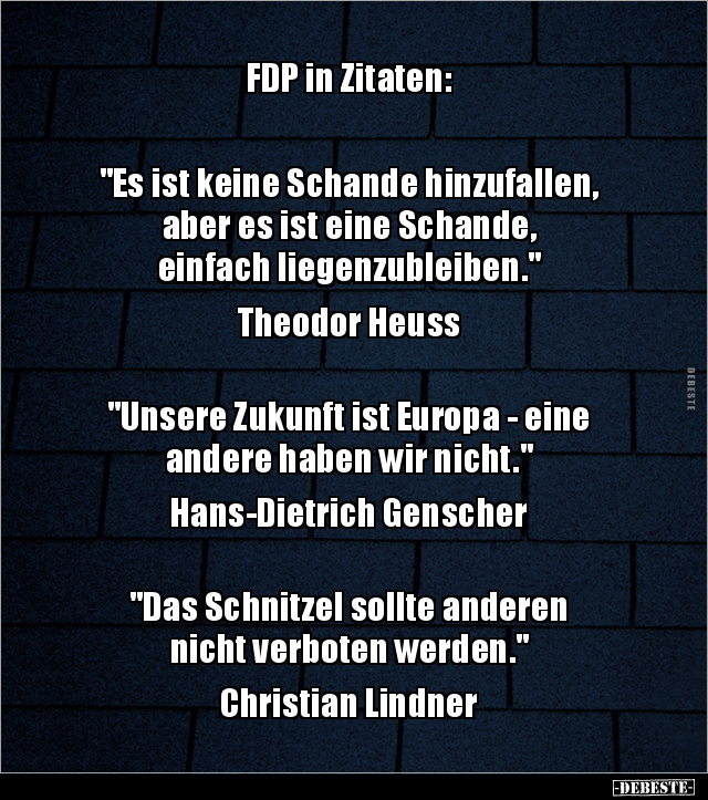 FDP in Zitaten: "Es ist keine Schande hinzufallen.." - Lustige Bilder | DEBESTE.de