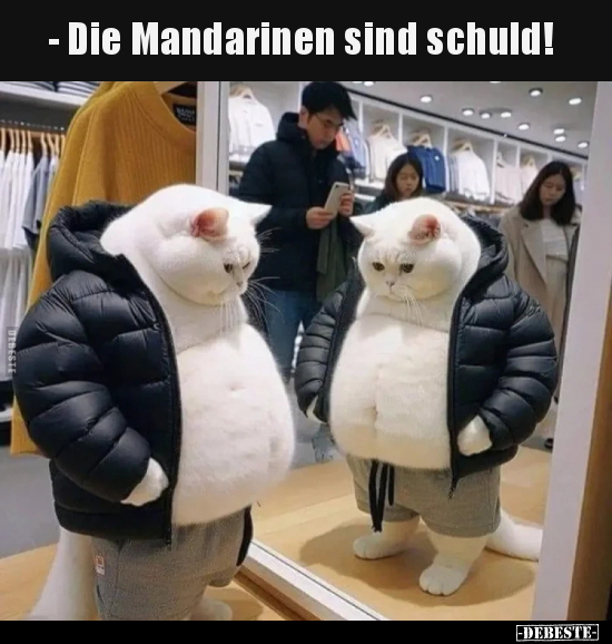 - Die Mandarinen sind schuld!.. - Lustige Bilder | DEBESTE.de