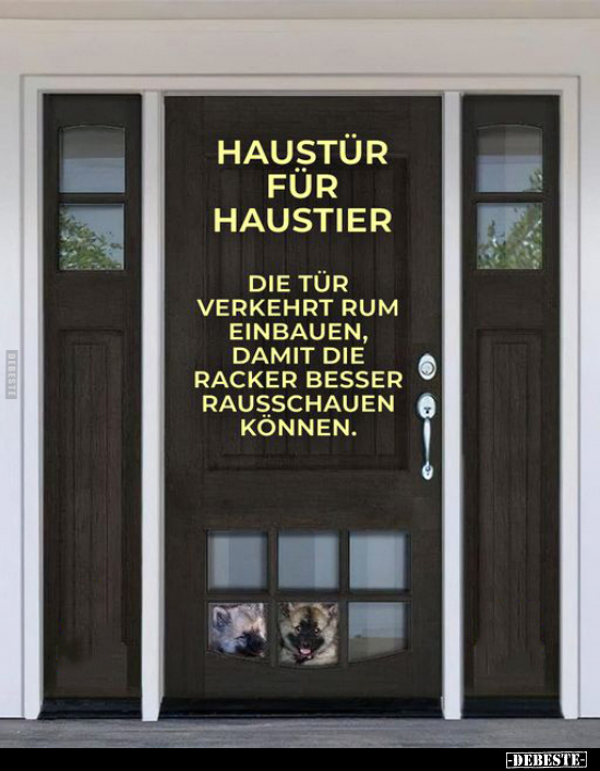 Haustür für Haustier.. - Lustige Bilder | DEBESTE.de