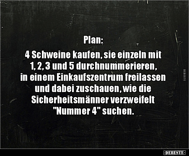 Plan: 4 Schweine kaufen, sie einzeln mit 1, 2, 3 und 5.. - Lustige Bilder | DEBESTE.de