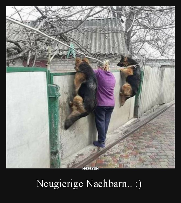 Neugierige Nachbarn.. :) - Lustige Bilder | DEBESTE.de