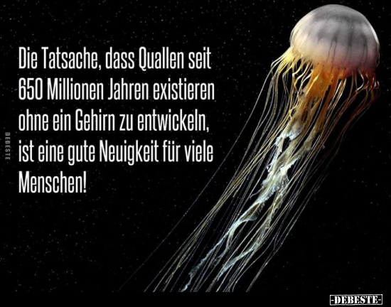 Die Tatsache, dass Quallen seit 650 Millionen Jahren.. - Lustige Bilder | DEBESTE.de