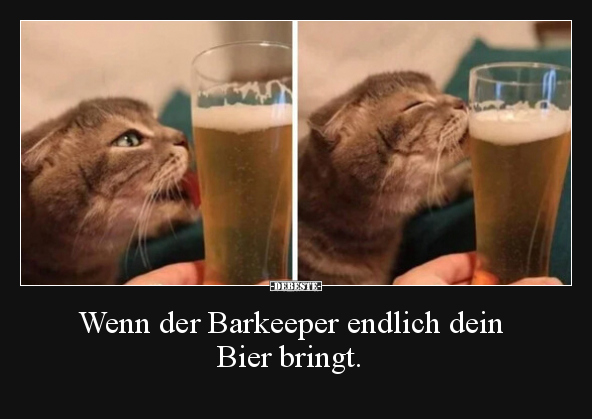 Wenn der Barkeeper endlich dein Bier bringt... - Lustige Bilder | DEBESTE.de