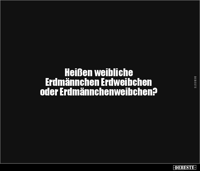 Heißen weibliche Erdmännchen Erdweibchen oder.. - Lustige Bilder | DEBESTE.de