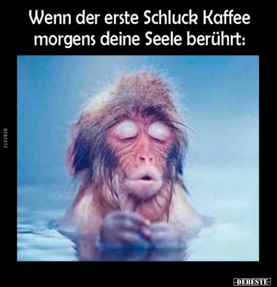 Wenn der erste Schluck Kaffee morgens deine Seele berührt.. - Lustige Bilder | DEBESTE.de