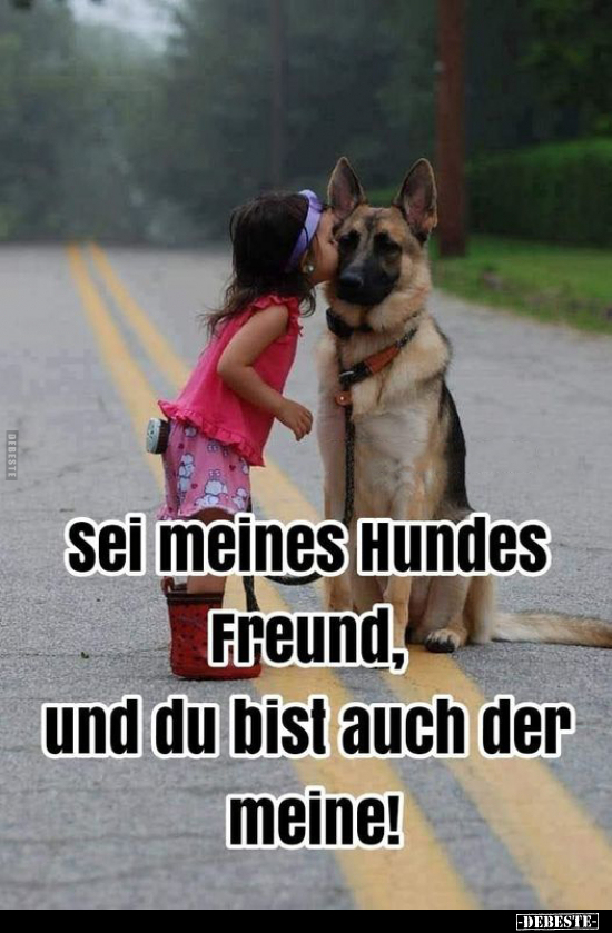 Sei meines Hundes Freund, und du bist auch der meine!.. - Lustige Bilder | DEBESTE.de