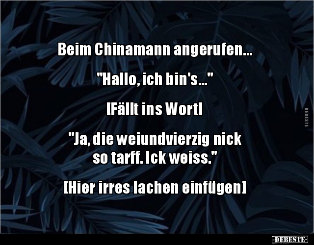 Beim Chinamann angerufen... "Hallo, ich.." - Lustige Bilder | DEBESTE.de