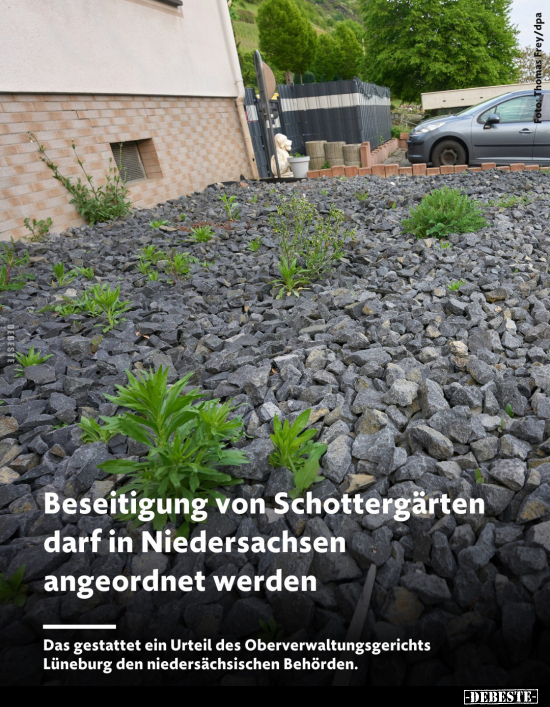Beseitigung von Schottergärten darf in Niedersachsen.. - Lustige Bilder | DEBESTE.de
