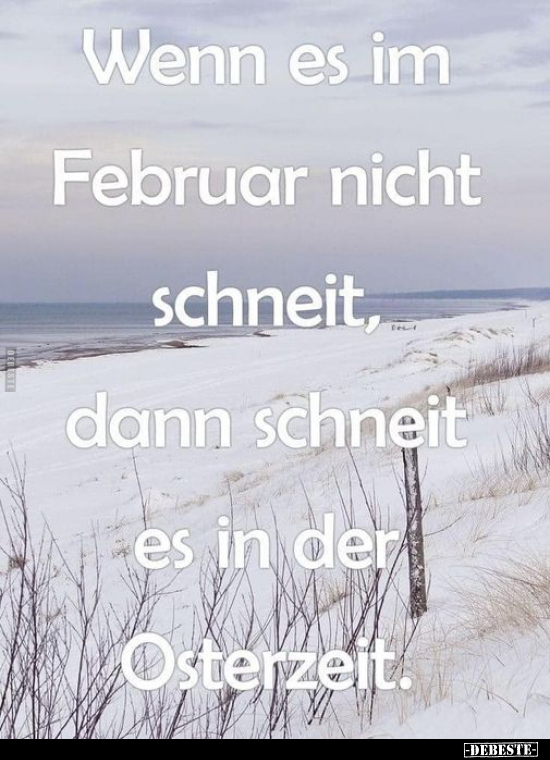 Wenn es im Februar nicht schneit, dann.. - Lustige Bilder | DEBESTE.de